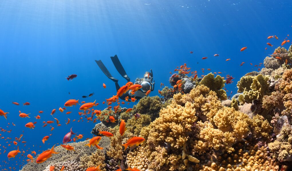 Jelenlegi stresszhelyzeted megváltoztatása